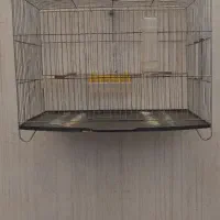قفس