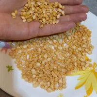 لپه ،نخود لپه ای