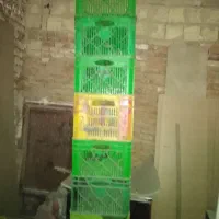 سبد پلاستیکی دست دوم