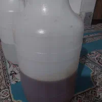 عسل|خوردنی و آشامیدنی|شیراز, لشکری‎|دیوار