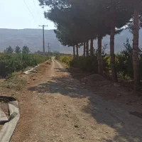 فروش باغ انار