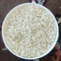 برنج سالم محل