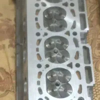 زانتیا سرسیلندر.