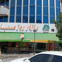 بازوی فنری بازشو250/سایبان تعمیرات کلی