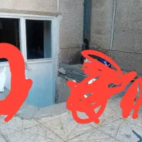 فر بنشان گم شده