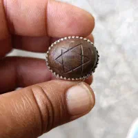 هبهاب