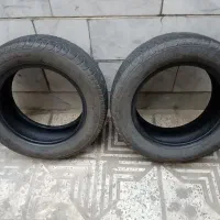 لاستیک بارز ۱۸۵/۶۰/۱۴ ساینا