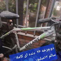 گل وگیاه|گل و گیاه طبیعی|شیراز, رازی|دیوار