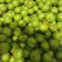 گوجه سبز
