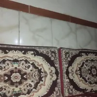 پشتی های سالم