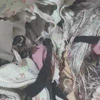 حدود ۹ کیلو خورده پارچه