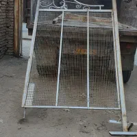 در باغ