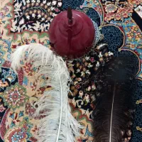 پر و کلاه خود
