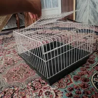 قفس|لوازم جانبی حیوانات|تایباد, |دیوار