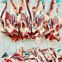 سوپر گوشت دامداران فعال در دوشعبه کالابرگی