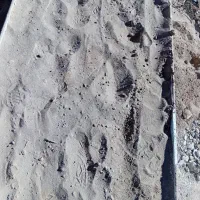 زمین-مسکونی