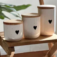 ظروف سرامیکی