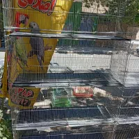قفس ۸ خوان بازاری