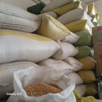گندم ایرانی برنج