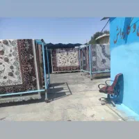 قالی شویی مالمیر