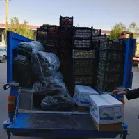 حمل بار