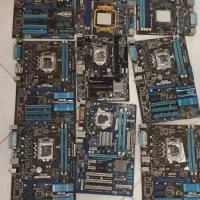 فروش ۲۱ کیلو برد ضایعاتی