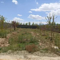زمین خوش قواره مناسب سرمایه گذاری