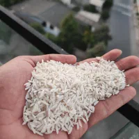 برنج ارگانیک طارم هاشمی فریدونکنار