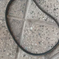 تسمه پروانه اردی