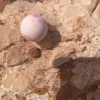 سنگ الماس لونسدالیت طبیعی اصل