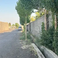 باغچه-مجوز-تک-برگی-جدا-اسفالت-چسب-بافت