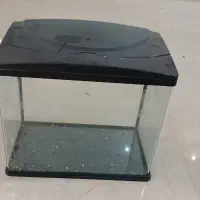 فروش فوری آکواریوم و وسایل آن تکی هم به فروش میرسد