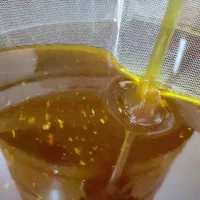 عسل ارگانیک و درمانی