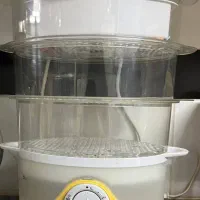 بخار پز
