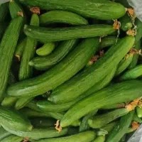 خیار درجه یک و لوبیا سبز