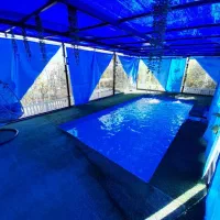 باغ ویلای آرش