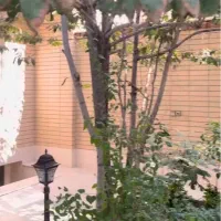 منزل-ویلایی-پلاک-دوم-میرزاطاهر-شرقی