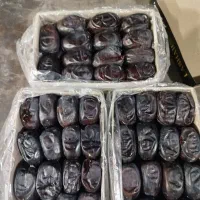 خرمای مضافتی کف بازار