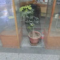 انبار-مناسب-مشغال-مختلف-جهت-اجاره