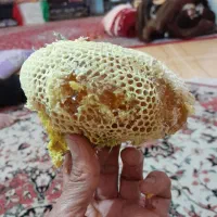 عسل کوهستان سندرک