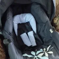 کریر جنس آلمانی محکم