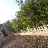 باغچه در رباط کریم