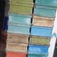 طبق برداشتی