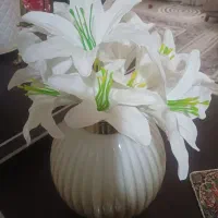 گل وگلدان هردو ۲۵۰هزارتومان