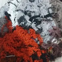 کاموا،سوکولمه،الیاف