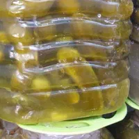 خیار شور سرفرمونی فست فود وجانوشابه ای