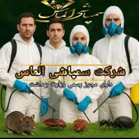 سمپاشی ایمن سوسک کنه کک ساس و...1مرحله100٪تضمینی