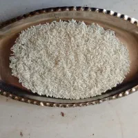 برنج هاشمی‌ استانه