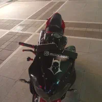 بنلی ریس جفت فروش شرایط چک معاوضه