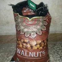 گردو چینی بلودان